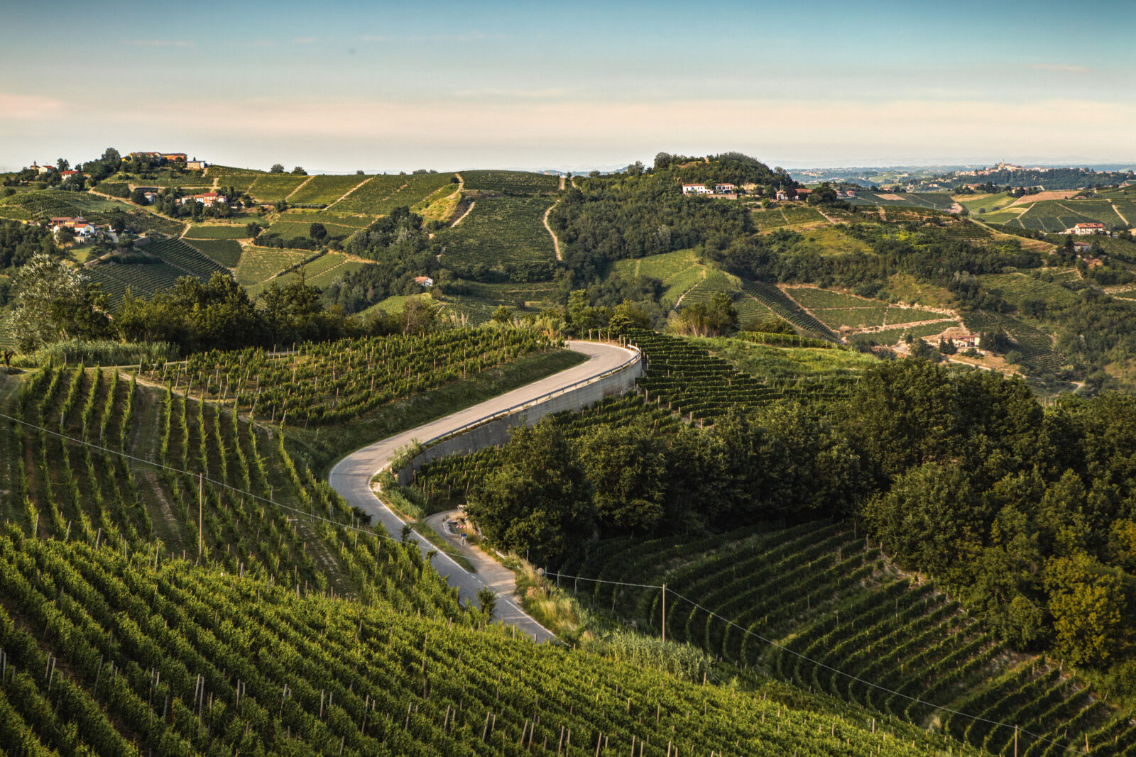 Piedmont landscape road