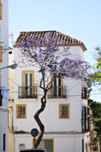 Marbella old city center view