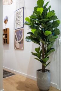 Posters from Poster and Frame