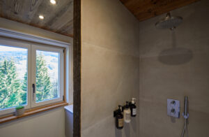Megeve Chalet apartment bathroom shower