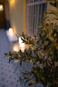 Rome apartment holiday home olive tree
