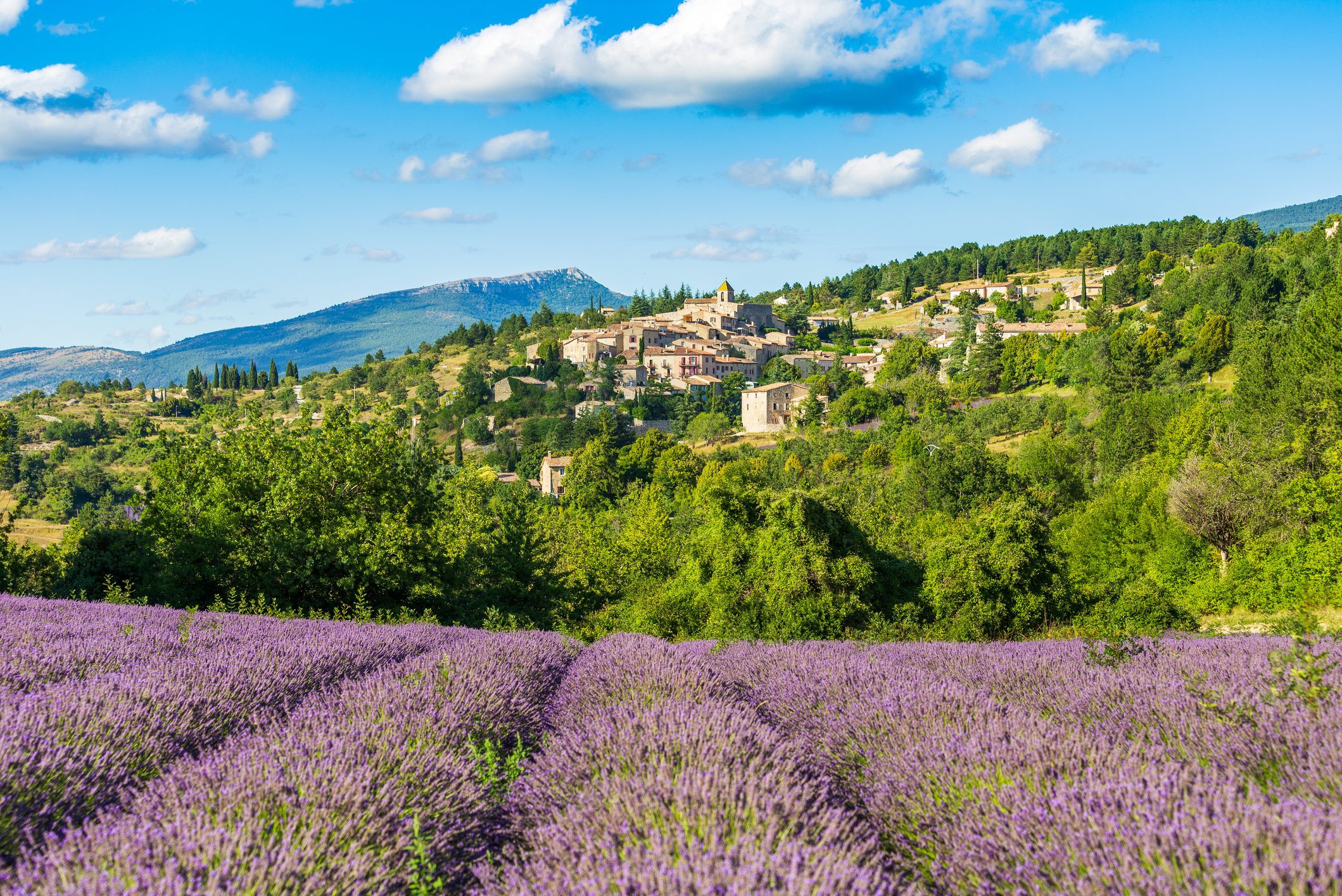 South of France Provence